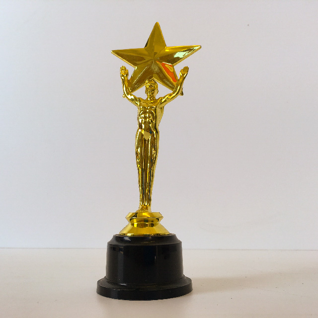 AWARD TROPHY, 21cm Holding Star